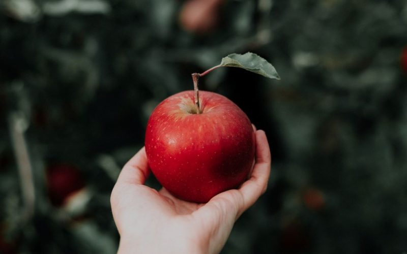 Nutricionistas esclarecem se a sensação de fome aumenta após o consumo de maçã.