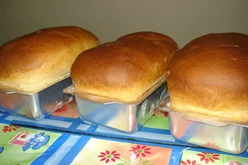 Receita simples de pão caseiro que garante maciez e rende deliciosos lanches para a família