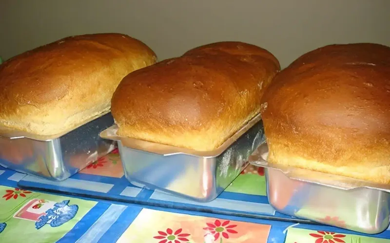 Receita simples de pão caseiro que garante maciez e rende deliciosos lanches para a família